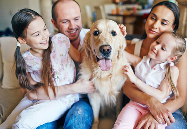 A happy family sits with their equally happy dog