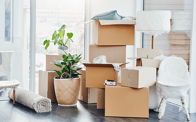 A collection of boxes sits on the floor and stacked on top of each other with a rug and houseplants sitting in the background inside a home