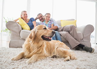 A family sits on a couch with their Golden Retriever on the floor