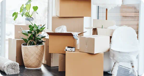 Boxes, plants, and other items are ready to be moved out of a home