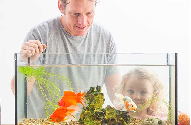 Learn how to pack oddly shaped items like a home aquarium!