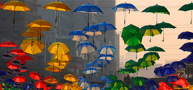 Insurance umbrellas