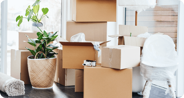 Boxes, plants, and other items are ready to be moved out of a home