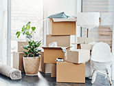 A collection of boxes sits on the floor and stacked on top of each other with a rug and houseplants sitting in the background inside a home