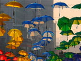 Insurance umbrellas